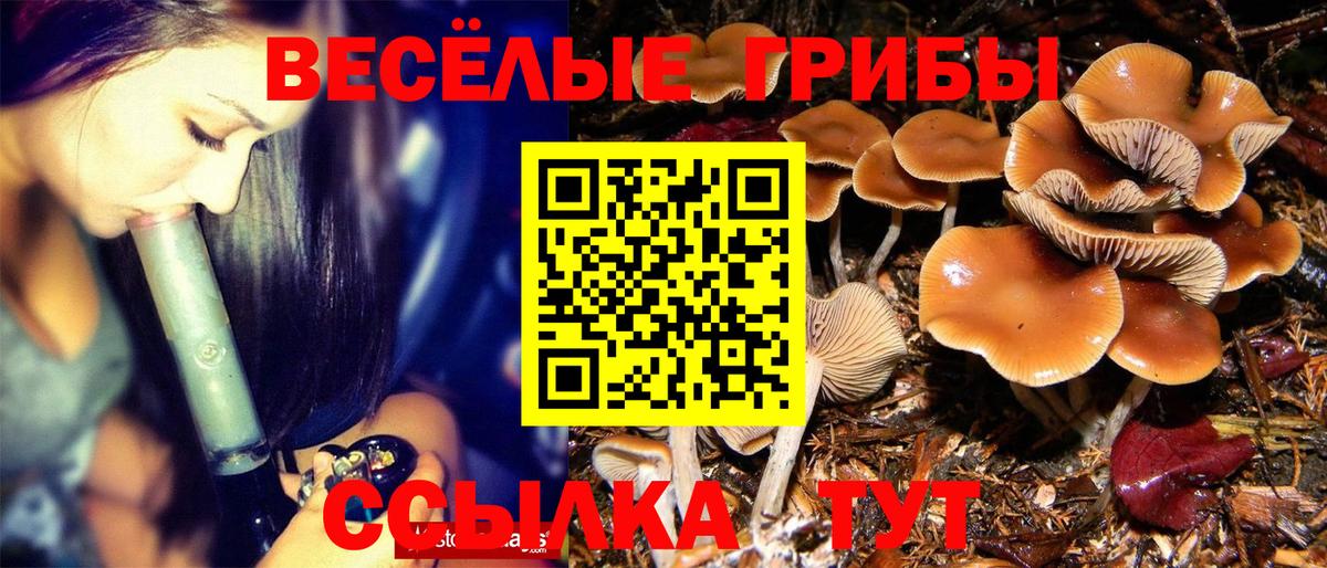 Псилоцибиновые грибы Magic Shrooms  Вход с VPN  Кузнецк 