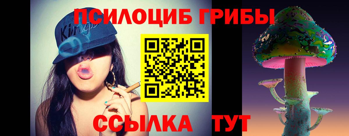 Псилоцибиновые грибы мицелий Кузнецк